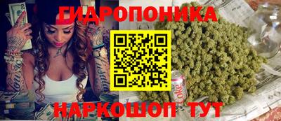 крисы Будённовск