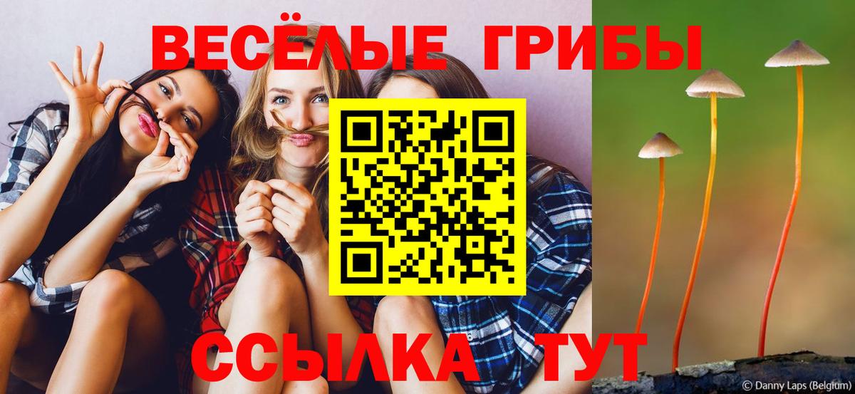 Галлюциногенные грибы Cubensis Рузаевка